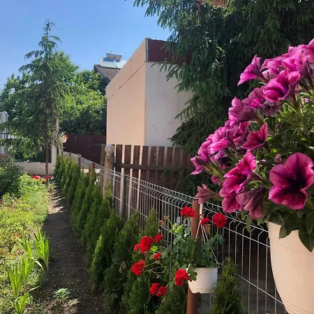 Nuti Guest house